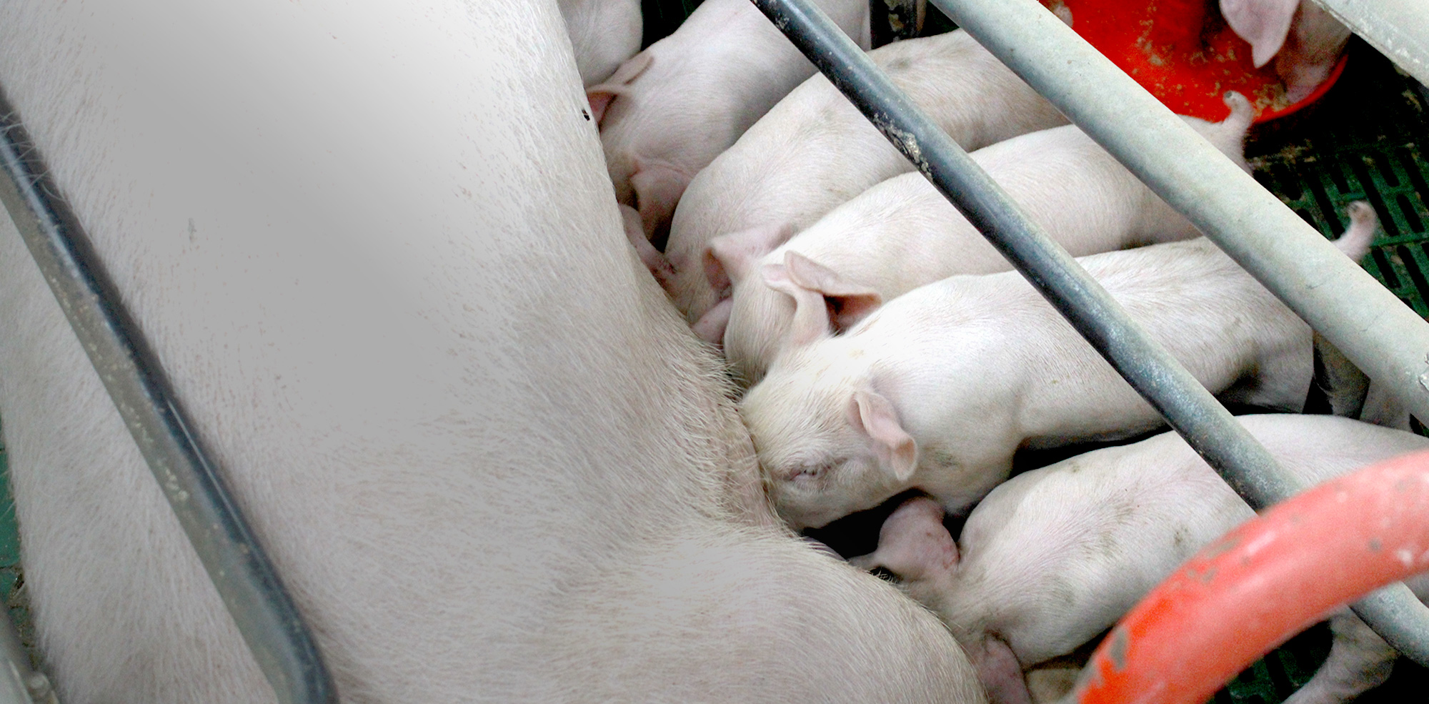 命を大切に、仲間を大切に。ぬくもりのある職場です。