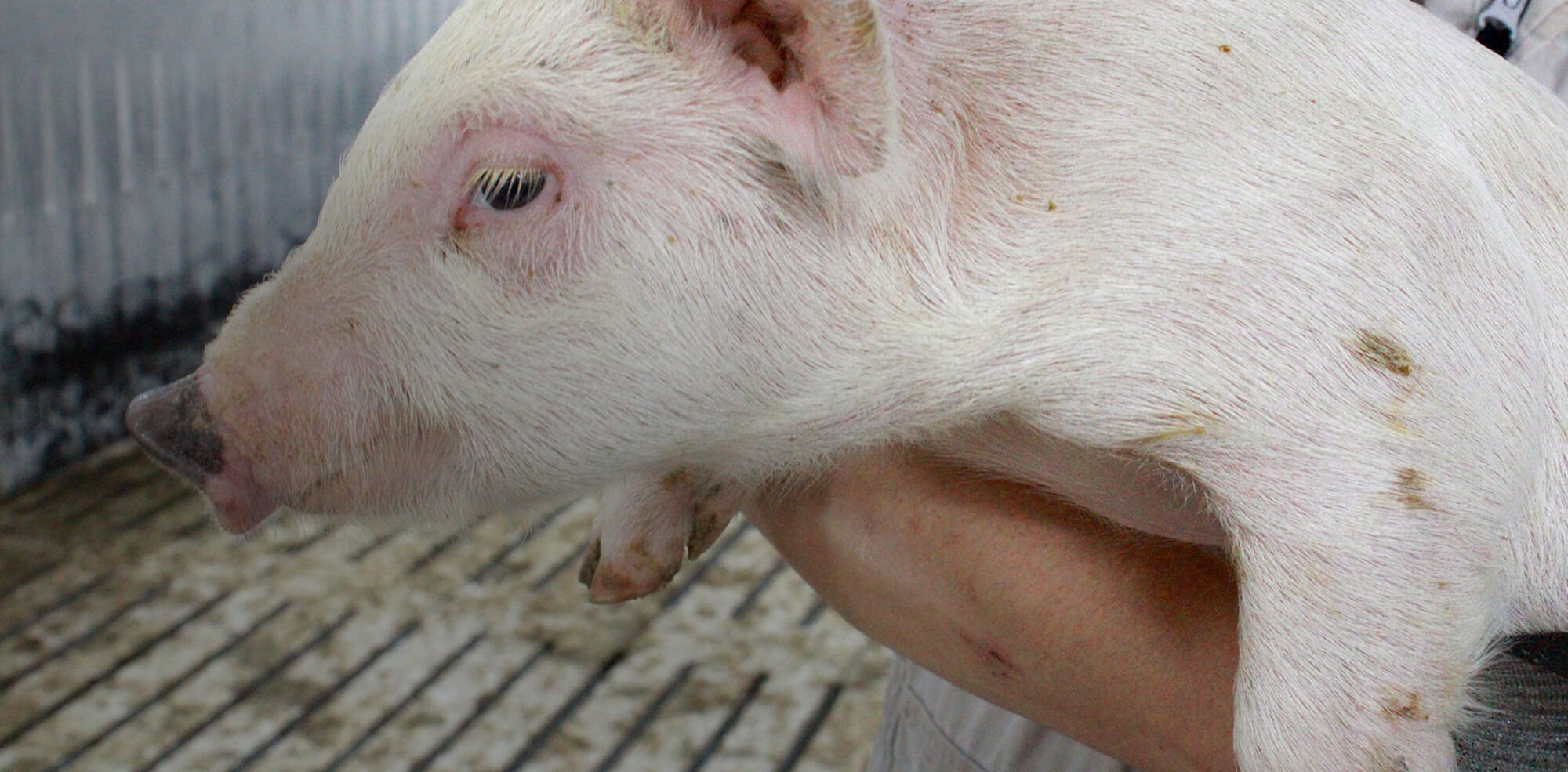 命を大切に、仲間を大切に。ぬくもりのある職場です。