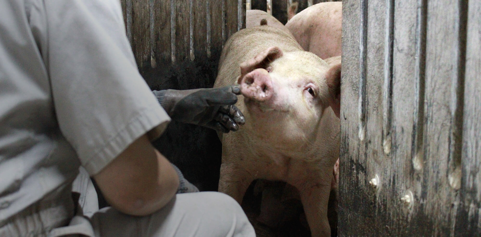 命を大切に、仲間を大切に。ぬくもりのある職場です。
